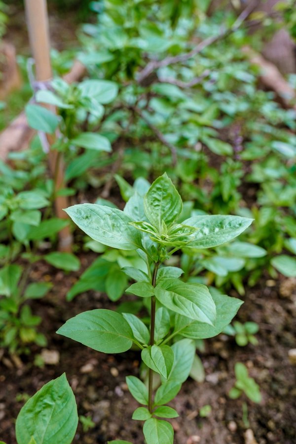 Réduisez votre empreinte écologique avec greenzer